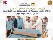 وزارة العمل : متابعة برامج تدريب مجانية على 5 مهن يحتاجها سوق العمل لتأهيل الشباب بمحافظة الوادى الجديد