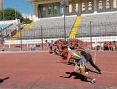 تحت رعاية فضيلة الدكتور عبد العزيز أبو خزيمة استكمالًا للبطولات الرياضية بالمنطقة والمدرجة ضمن بطولات الحافز الرياضي