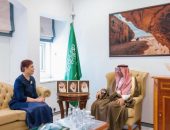 سفيرة جمهورية العراق في الرياض تلتقي وكيل وزارة الخارجية السعودية للشؤون الدولية