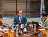 وزير المالية.. لأكثر من ٦٠ مستثمرًا مؤسسيًا أجنبيًا عبر الفيديو كونفرانس فى لقاء نظمته مؤسسة «إم. إف. جى هيرميس»
