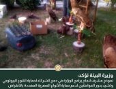 البيئة تنجح في إنقاذ 20 حيواناً مهدداً بالانقراض بالتعاون مع شرطة البيئة والمسطحات
