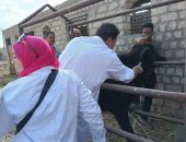 محافظ الفيوم يتابع فعاليات وأنشطة مديرية الطب البيطري خلال شهر أكتوبر الماضي