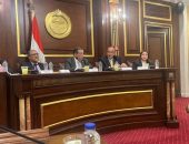 مساعد وزير الخارجية للشئون الأمريكية يشارك فى اجتماع لجنة العلاقات الخارجية والعربية والافريقية بمجلس الشيوخ