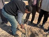 الزراعة: علماء وباحثي مركز الصحراء يواصلون تقديم الدعم الفنى والإرشادات لمزارعي التجمعات في سيناء