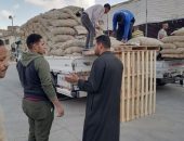 الزراعة: اتحاد مُنتجي ومُصدري الحاصلات البستانية يسلم تقاوي البطاطس للمزارعين ب 69,5 الف جنية
