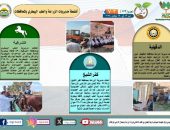 » انفوجراف | “الزراعة في كل مصر” العدد رقم 172 .. تعرف على أنشطة وجهود مديريات الزراعة والطب البيطري