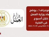 انفوجراف ..حصاد وزارة العمل في 7 أيام ..
