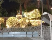 مدينة الأقصر تواصل أعمال تزيين الشوارع والميادين استعدادا لإحتفالات رأس السنة