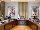 رئيس الوزراء يتابع عددا من ملفات العمل والمشروعات بمحافظة الجيزة