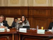 وزيرة التنمية المحلية تعرض رؤية الوزارة للتعامل مع ظاهرة انتشار الحيوانات الضالة بالمحافظات وتجربة دمياط في مواجهة المشكلة
