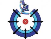 التعليم العالي: أكاديمية البحث العلمي والتكنولوجيا تعلن فوز القاهرة بلقب عاصمة الابتكار الاخضر لعام 2024  على مستوى محافظات الجمهورية