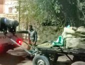 مجلس مدينة الأقصر يصادر (20) عربة كارو يستخدمها “النباشين” لنبش القمامة