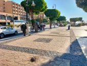 حملات نظافة مكثفة.. وتجميل الشوارع والأحياء بمدينة الأقصر