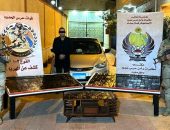 نشاط مكثف لقوات حرس الحدود على كافة الإتجاهات الإستراتيجية للدولة .