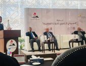 دور الدبلوماسية الاقتصادية في تعزيز التنمية في مصر