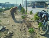 الجهاز التتفيذى بحى شرق يستمر باعمال التحسين البيئى بزراعه وتجميل واعاده الرونق الحضارى لشارع ترعه الاسماعيليه