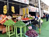 محافظ الدقهلية يثني على أداء سوق اليوم الواحد ويؤكد: استمرار أسواق اليوم الواحد يومي الجمعة والسبت من كل أسبوع