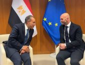 استكمالا للقاءات بالبرلمان الاوروبى، وزير الخارجية والهجرة يلتقى مع رئيس مجموعة المحافظين الإصلاحيين