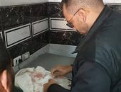 محافظة الجيزة تضبط 6 طن مقطعات لحوم و هياكل دواجن و كبدة و اسماك غير صالحة للاستهلاك الادمي بكرداسة وامبابة والطالبية والمنيرة الغربية والعجوزة والهرم