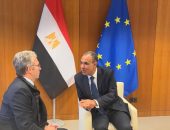 فى لقاءات منفصلة … وزير الخارجية والهجرة يلتقى مع نواب البرلمان الأوروبى مقررى المجموعات السياسية المختلفة