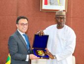 لقاء السفير المصري مع رئيس البرلمان الانتقالي في مالي