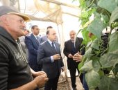 محافظ كفرالشيخ يتابع جهود البحوث الزراعية في الندوات الإرشادية والمدارس الحقلية لتوعية المزارعين وزيادة إنتاجية الفدان