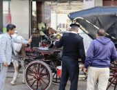 محافظ أسوان يكلف بتنظيم حملة على عربات الحنطور لتنظيم حركة سيرها .. والحملة تضبط محتويات 30 عربة ومصادرة 3 عربات مخالفة .. ومناشدة لأصحاب العربات بتقنين أوضاعهم