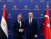 بيان مشترك بين وزيري خارجية مصر وتركيا