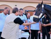 السيد الرئيس عبد الفتاح السيسي،يقوم فجر اليوم، بجولة تفقدية في الأكاديمية العسكرية المصرية، بمقر القيادة الاستراتيجية بالعاصمة الإدارية الجديدة، حيث كان في استقبال سيادته الفريق أشرف زاهر، مدير الأكاديمية وقادة الاكاديمية.