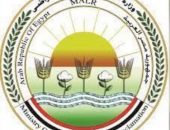 الزراعة: لا صحة لما أثير حول وجود طماطم في الأسواق تم رشها بمادة “الإيثريل” لتسريع النضج والتلوين الخارجي للثمرة