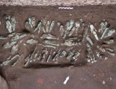 الكشف عن 225 تمثالًا من الأوشابتي الخاصة بالملك شوشنق الثالث بمنطقة صان الحجر الأثرية