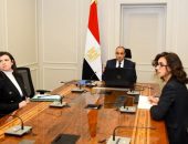 لقاء افتراضي لوزير الخارجية مع الجالية المصرية في كمبوديا وسنغافورا وتايلاند