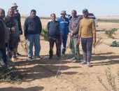“بحوث الصحراء” يعزز الدعم الميداني للمزارعين بسيناء بخطة مرور دوري وتدريب عملي